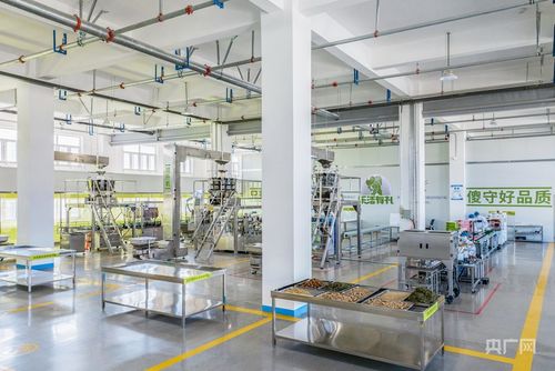 榆中产业升级新篇章 以技术创新为引擎，加速产业链与创新链深度融合